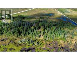 22934 62 Highway S, Limerick, ON K0L1W0 Photo 31