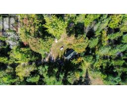 22934 62 Highway S, Limerick, ON K0L1W0 Photo 32