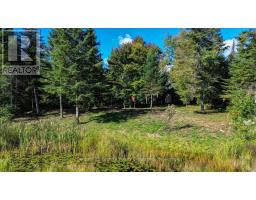 22934 62 Highway S, Limerick, ON K0L1W0 Photo 33
