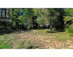 22934 62 Highway S, Limerick, ON K0L1W0 Photo 34