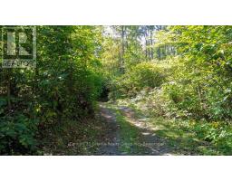 22934 62 Highway S, Limerick, ON K0L1W0 Photo 36