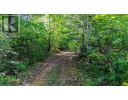 22934 62 Highway S, Limerick, ON K0L1W0 Photo 37