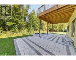 26 Birchwood Lane, Essa, ON L0M1B1 Photo 49