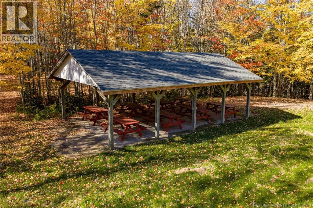 116 Teed Road - 6