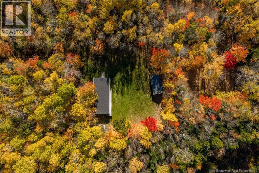 116 Teed Road - 16