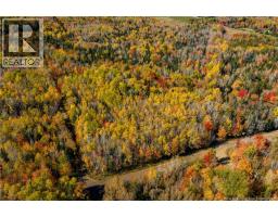 116 Teed Road, Notre Dame, NB E4V2L9 Photo 13