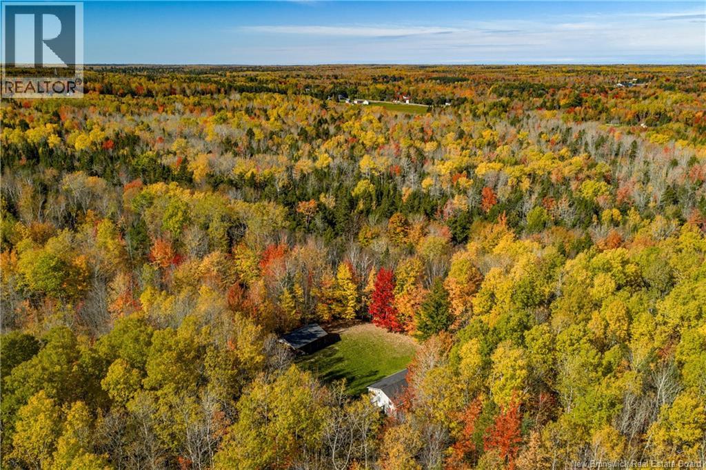 116 Teed Road - 17