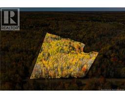116 Teed Road, Notre Dame, NB E4V2L9 Photo 14