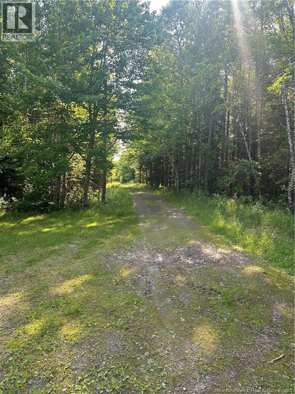 116 Teed Road - 30