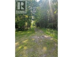 116 Teed Road, Notre Dame, NB E4V2L9 Photo 30
