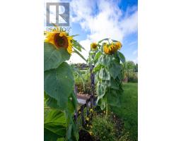 48 Festival Lane, Mackay Siding, NS B0N2J0 Photo 44