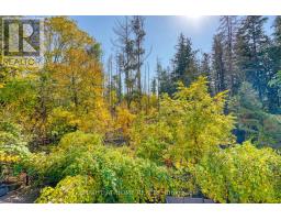 171 Maurier Boulevard, Vaughan, ON L6A0V2 Photo 46