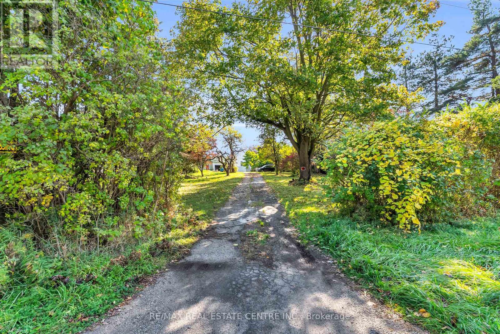11858 32 Side Road — photo 24