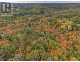 Lot 23 Con 3 Sebastopol, Bonnechere Valley, ON K0J1T0 Photo 10