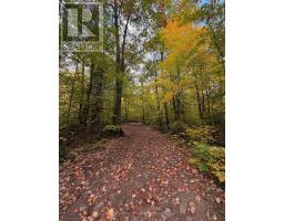 Lot 23 Con 3 Sebastopol, Bonnechere Valley, ON K0J1T0 Photo 26
