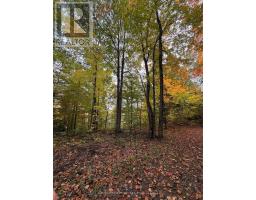Lot 23 Con 3 Sebastopol, Bonnechere Valley, ON K0J1T0 Photo 27
