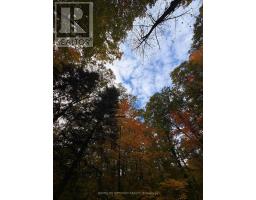 Lot 23 Con 3 Sebastopol, Bonnechere Valley, ON K0J1T0 Photo 28