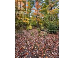 Lot 23 Con 3 Sebastopol, Bonnechere Valley, ON K0J1T0 Photo 29