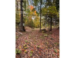 Lot 23 Con 3 Sebastopol, Bonnechere Valley, ON K0J1T0 Photo 30