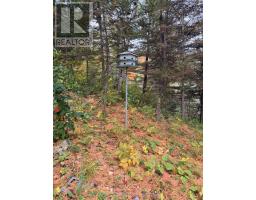 Lot 23 Con 3 Sebastopol, Bonnechere Valley, ON K0J1T0 Photo 33