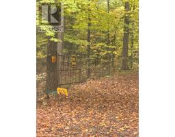 Lot 23 Con 3 Sebastopol, Bonnechere Valley, ON K0J1T0 Photo 46
