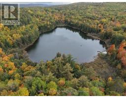 Lot 23 Con 3 Sebastopol, Bonnechere Valley, ON K0J1T0 Photo 9