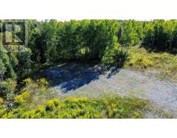 22934 62 Highway S, Limerick, ON K0L1W0 Photo 17