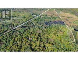 22934 62 Highway S, Limerick, ON K0L1W0 Photo 11