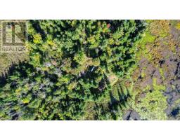 22934 62 Highway S, Limerick, ON K0L1W0 Photo 13