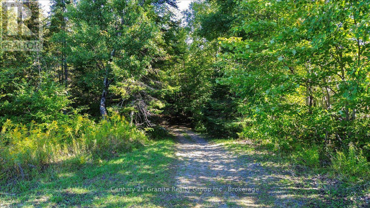 22934 62 Highway South — photo 20