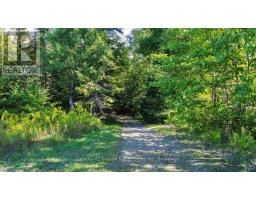22934 62 Highway S, Limerick, ON K0L1W0 Photo 20