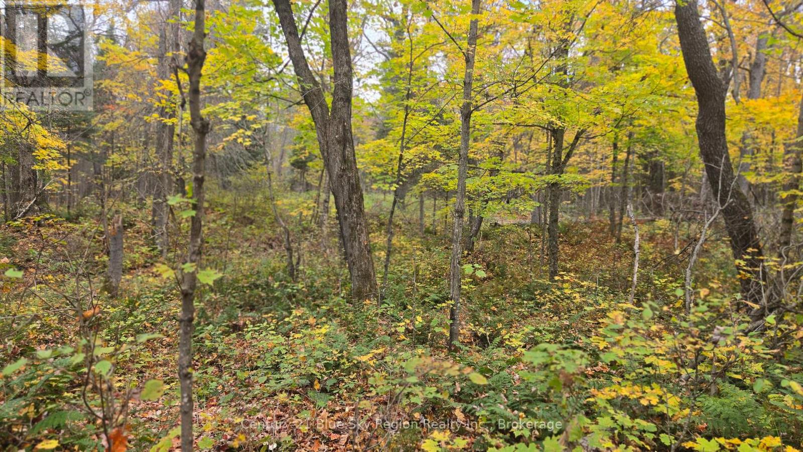 L1 15 CON 3 OTTAWA AVENUE, Machar — photo 9