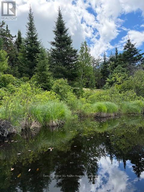 114 DE LA MONTEE ROAD, West Nipissing (River Valley) — photo 12