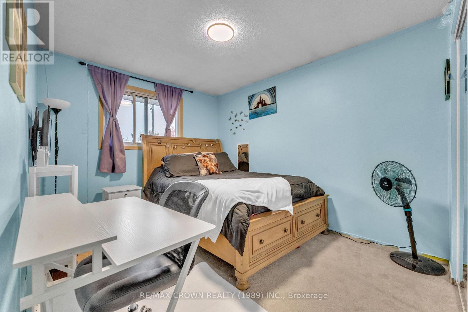 19 Knox Court — photo 19
