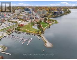 27 Ross Street, Barrie, ON L4N1E8 Photo 45