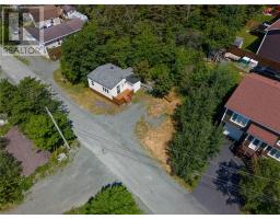 4 Conatti Place, Portugal Cove, NL A1M3B7 Photo 17