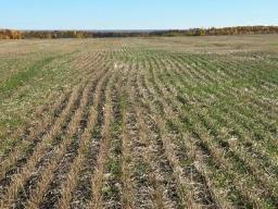 , Mccreary, MB R0J1B0 Photo 30