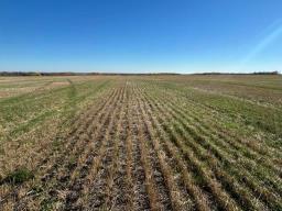 , Mccreary, MB R0J1B0 Photo 29