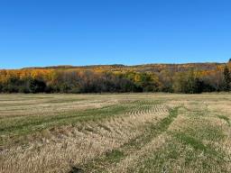 , Mccreary, MB R0J1B0 Photo 32