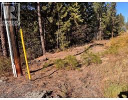 Lot 9 Prospect Drive, Grand Forks, BC V0H1H2 Photo 6