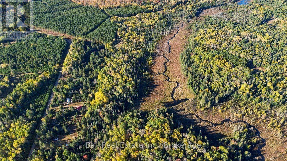 775 Cameron Road, Faraday, ON photo 33