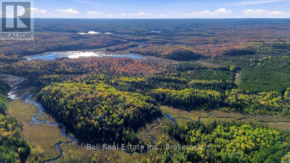 775 Cameron Road, Faraday, ON photo 34