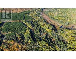 775 Cameron Road, Faraday, ON K0L1P0 Photo 32