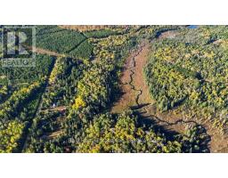 775 Cameron Road, Faraday, ON K0L1P0 Photo 33