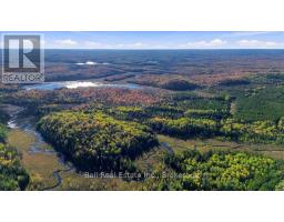 775 Cameron Road, Faraday, ON K0L1P0 Photo 34