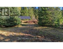 775 Cameron Road, Faraday, ON K0L1P0 Photo 35