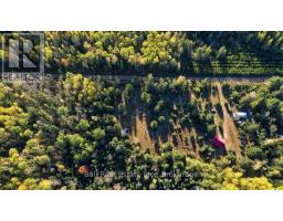 775 Cameron Road, Faraday, ON K0L1P0 Photo 36