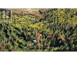 775 Cameron Road, Faraday, ON K0L1P0 Photo 37