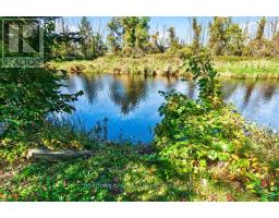 Other - 679 Palace Road, Greater Napanee, ON K7R1A6 Photo 10