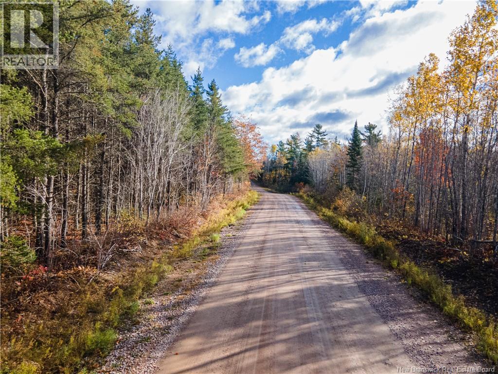 Lot 1 South Canaan Road photo 2